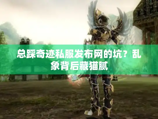 总踩奇迹私服发布网的坑？乱象背后藏猫腻